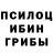 Псилоцибиновые грибы GOLDEN TEACHER TheFriday