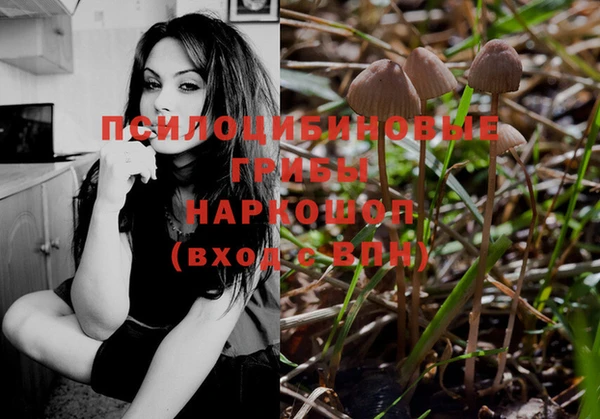 прущая мука Абаза