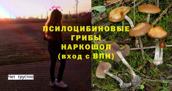 PSILOCYBIN Абдулино