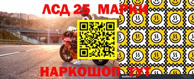 сатива Новозыбков