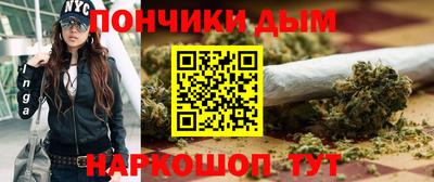 сатива Новозыбков