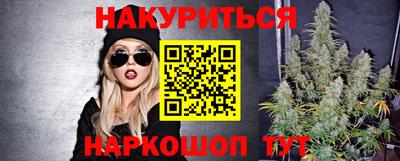 сатива Новозыбков