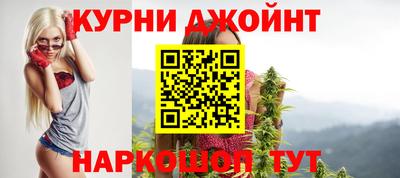 сатива Новозыбков