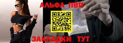 сатива Новозыбков
