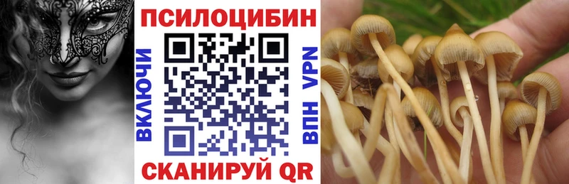 Псилоцибиновые грибы MAGIC MUSHROOMS  Азов 