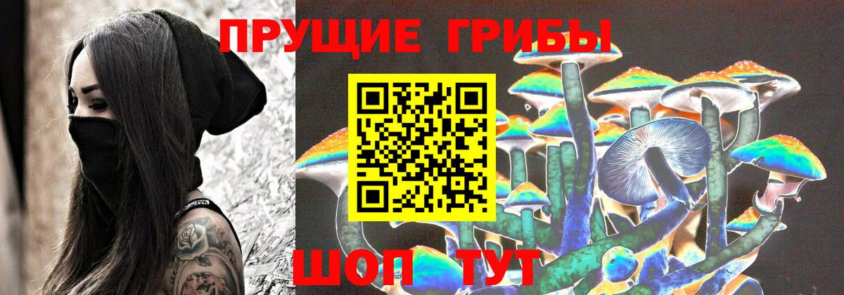 Азов  Псилоцибиновые грибы прущие грибы  Вход с VPN  Псилоцибиновые грибы GOLDEN TEACHER 
